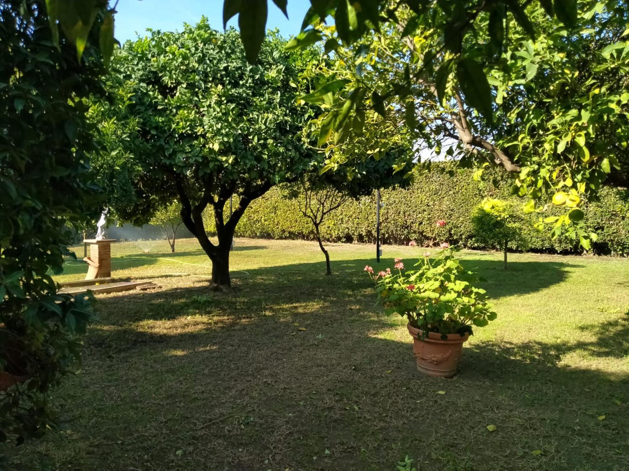 Da Ninnilla Holiday Home Scafati Exterior photo